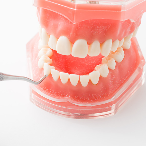 5 メンテナンス・定期健診のご案内